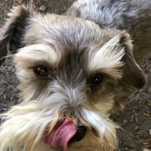 Meet your Posher, Carrie